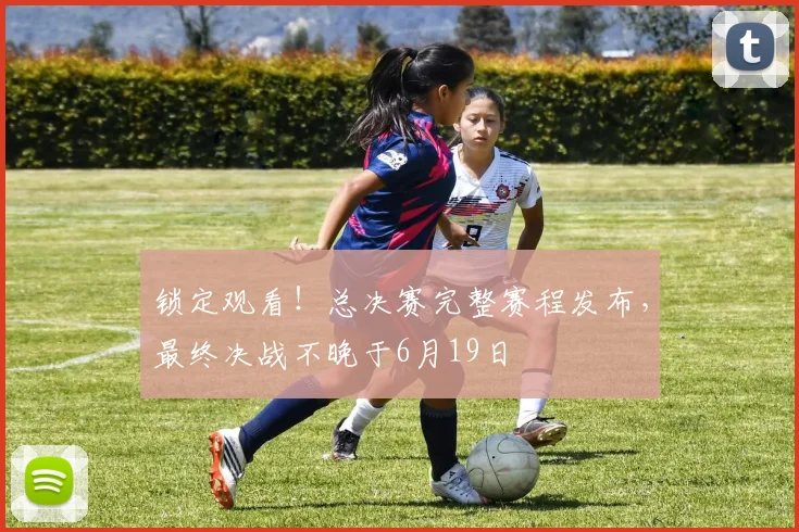 锁定观看!总决赛完整赛程发布,最终决战不晚于6月19日